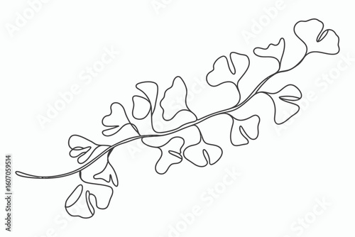 Delicate line drawing of a fern frond