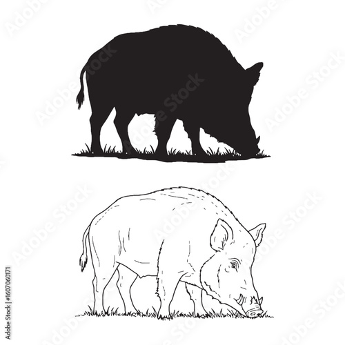 Boar Vector Creation - Woodland Forager - Feral Hog Form - Boar silhouette - Boar lineart - Boar vector - vector set of Boar

