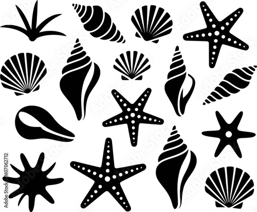 Black silhouettes of seashells and starfishes on white background vector