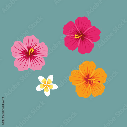 Colorful vector illustration of tropical flowers including hibiscus and frangipani on a teal background. Perfect for summer, floral, and nature-themed designs