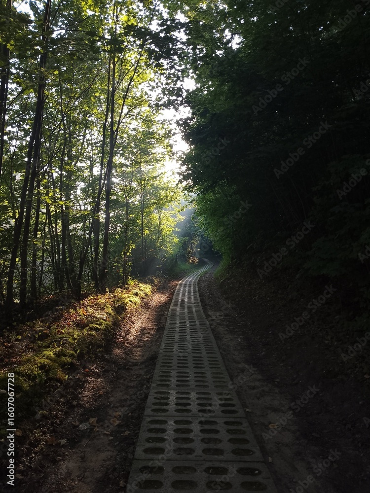 Obraz premium Exif_JPEG_420