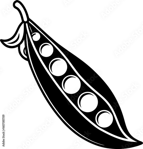 vector illustration of a beans on white background