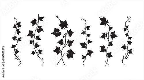 Collection of ivy branch silhouettes. A hand-drawn illustration turned into a vector.

