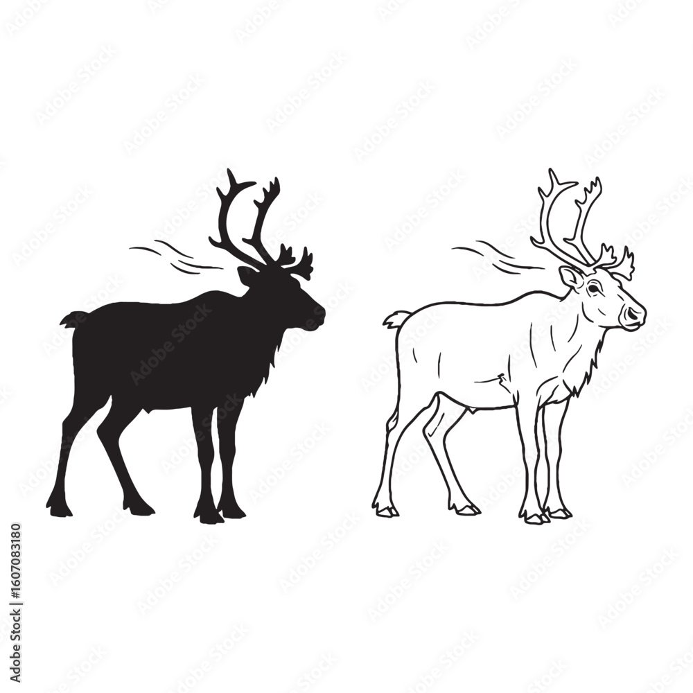 Fototapeta premium Foraging Skill Conveyed - Caribou Vector Elements - Versatile Silhouette and Detailed Lineart - Caribou silhouette - Caribou lineart - Caribou vector - silhouette & lineart of Caribou