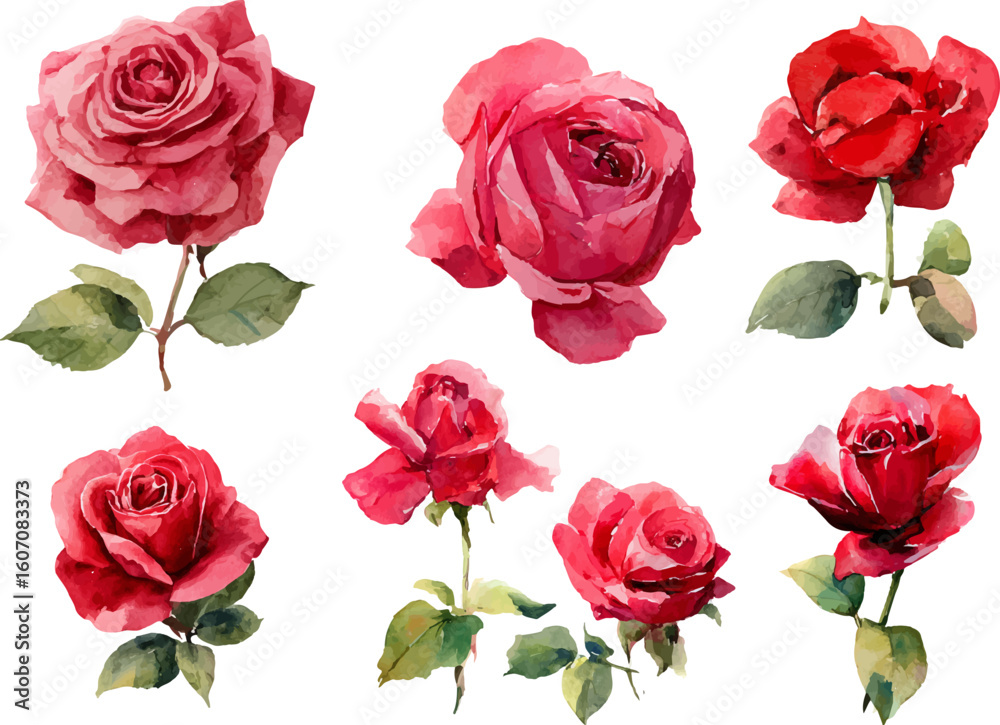 Fototapeta premium set of red roses isolated