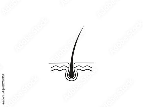 Healthy hair follicle graphic for dermatology and cosmetic advertising, showcasing hair growth and scalp health in a clean and simple design.