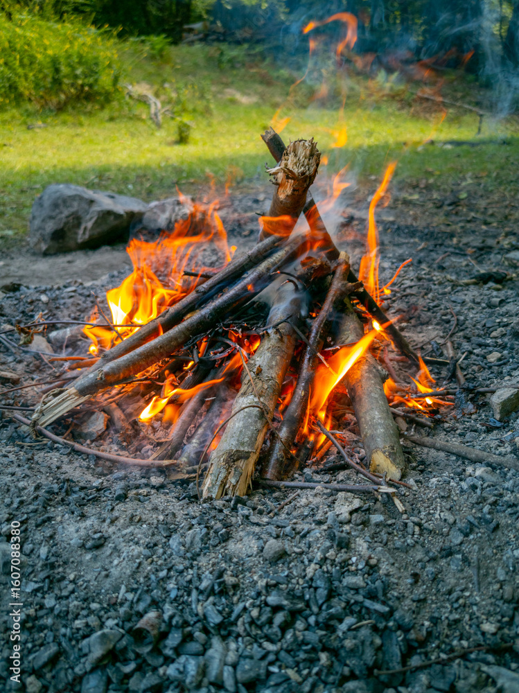 Campfire with Burning Wood in Nature Campfire with Burning Wood in Nature