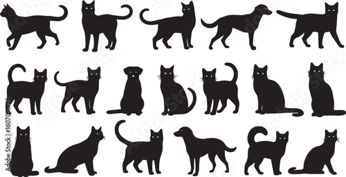 vector illustration of Cats and dogs in various poses