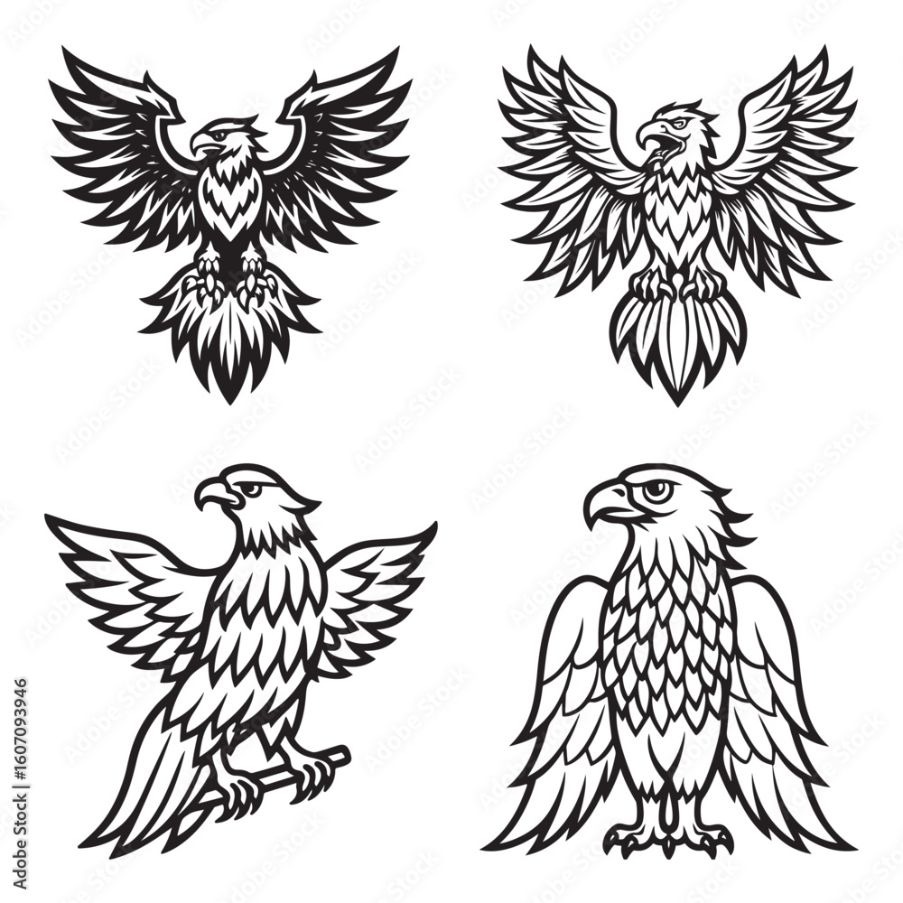 Fototapeta premium A drawing of a eagle line art illustration