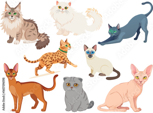 Bild auf Leinwand vector icon set of different cats