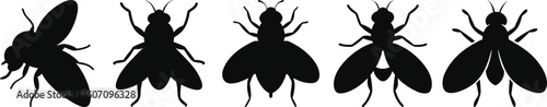 Insect Silhouette Set – Flies in Black and White