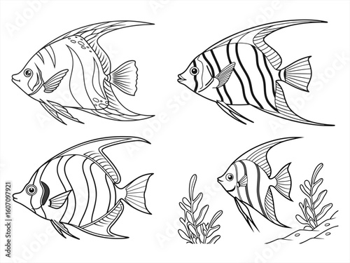 coloring page line art the angelfish black vector bundle