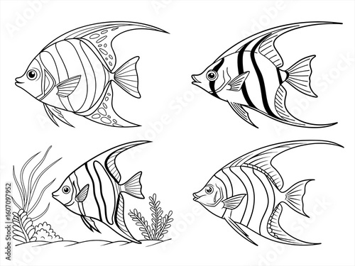 coloring page line art the angelfish black vector bundle