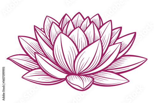 Elegant lotus flower drawing for peaceful wellness and spa designs