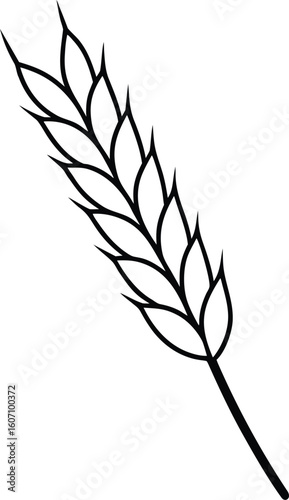 wheat stalk icon line art vector illustration on transparent background	
