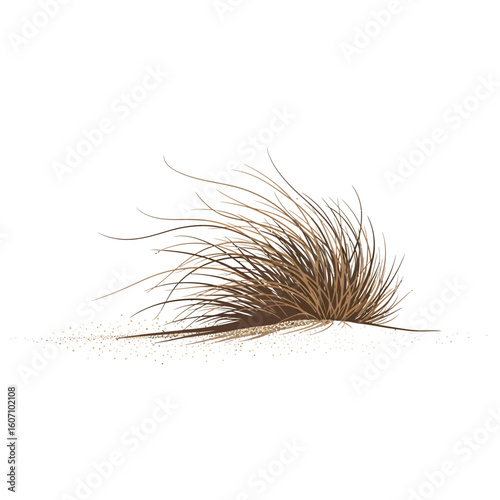 Illustration of a clump of dry, brown grass growing on a small mound of sand, isolated on a white background.