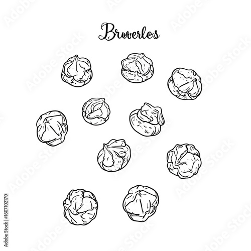 Hand-drawn Brussels sprouts illustration with elegant 'Bruxelles' script lettering.