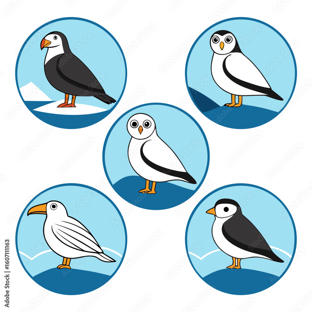Fototapeta premium Arctic Birds Collection penguin puffin