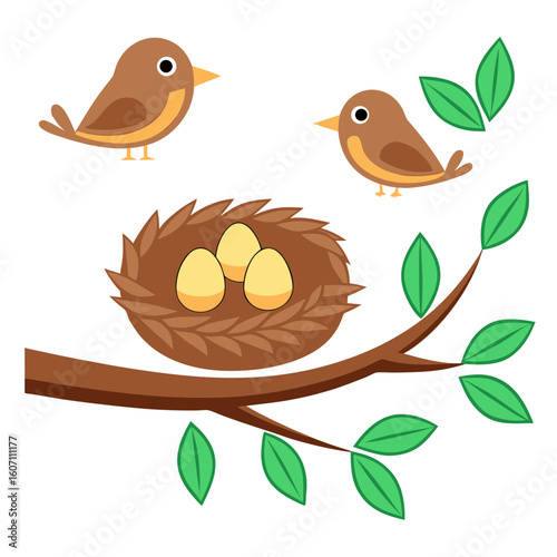 Two birds nest with eggs on branch leaves
