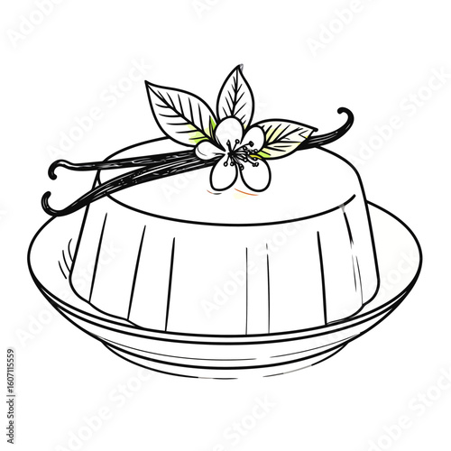 Elegant line art of a vanilla panna cotta dessert, garnished with vanilla beans and a delicate flower.
