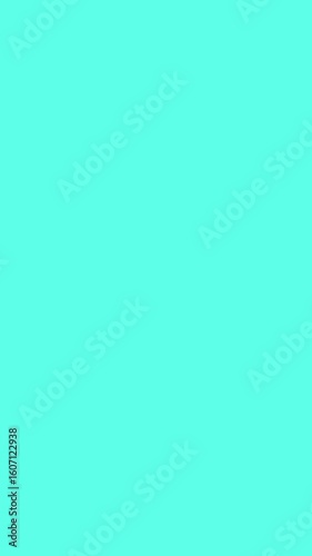 Watermelon Slice Portrait Footage for Ads Video. Zooming Animation. For Ads Video. Fruit Footage	
