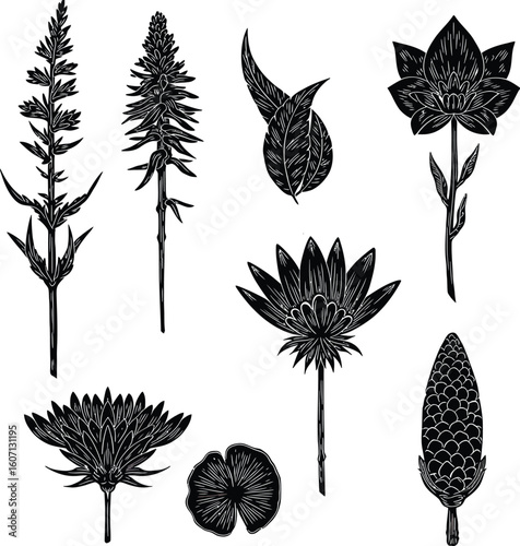 Nature's vibrant design: a seamless pattern of colorful vector trees and leaf silhouettes with subtle bird and feather icons