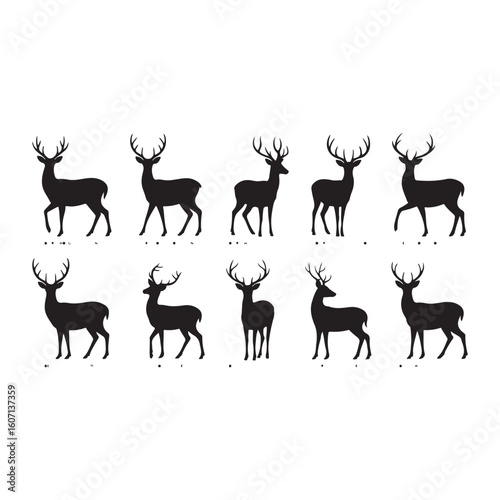 deer vector set