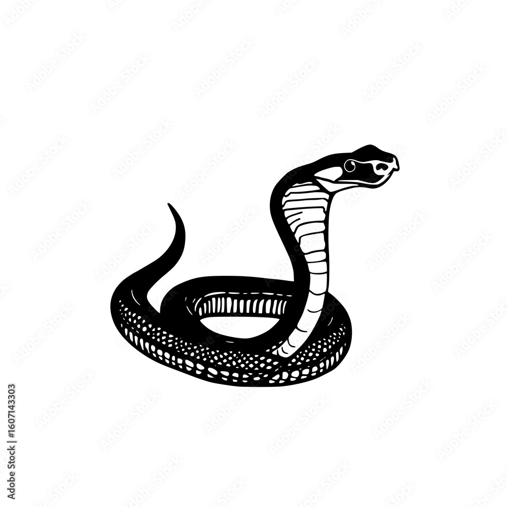 Fototapeta premium King Cobra Illustration: A striking monochrome line art depicts a king cobra in profile, its hood raised, showcasing intricate scales and a powerful presence.