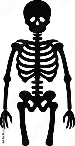 Clean minimal skeleton bones silhouette isolated on transparent background