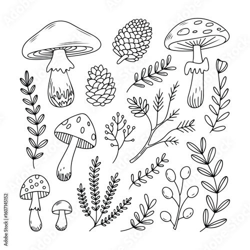Boho Botanical Line Art Icons Featuring Mushrooms, Pine Cones, Leaves, and Natural Branches for Rustic Nature-Themed Design Projects, Coloring book