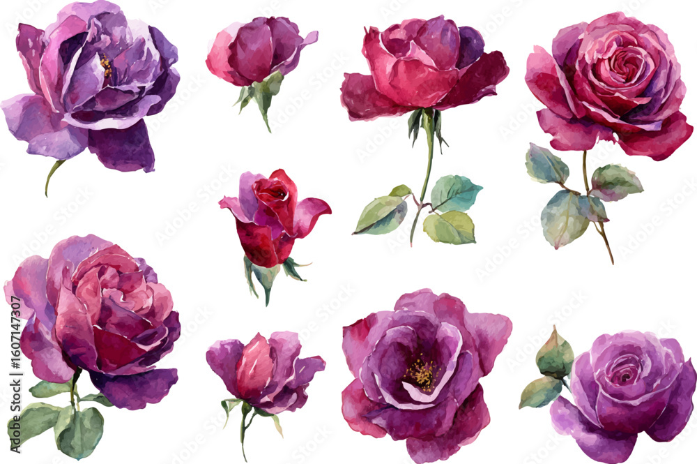 Fototapeta premium collage of pink roses