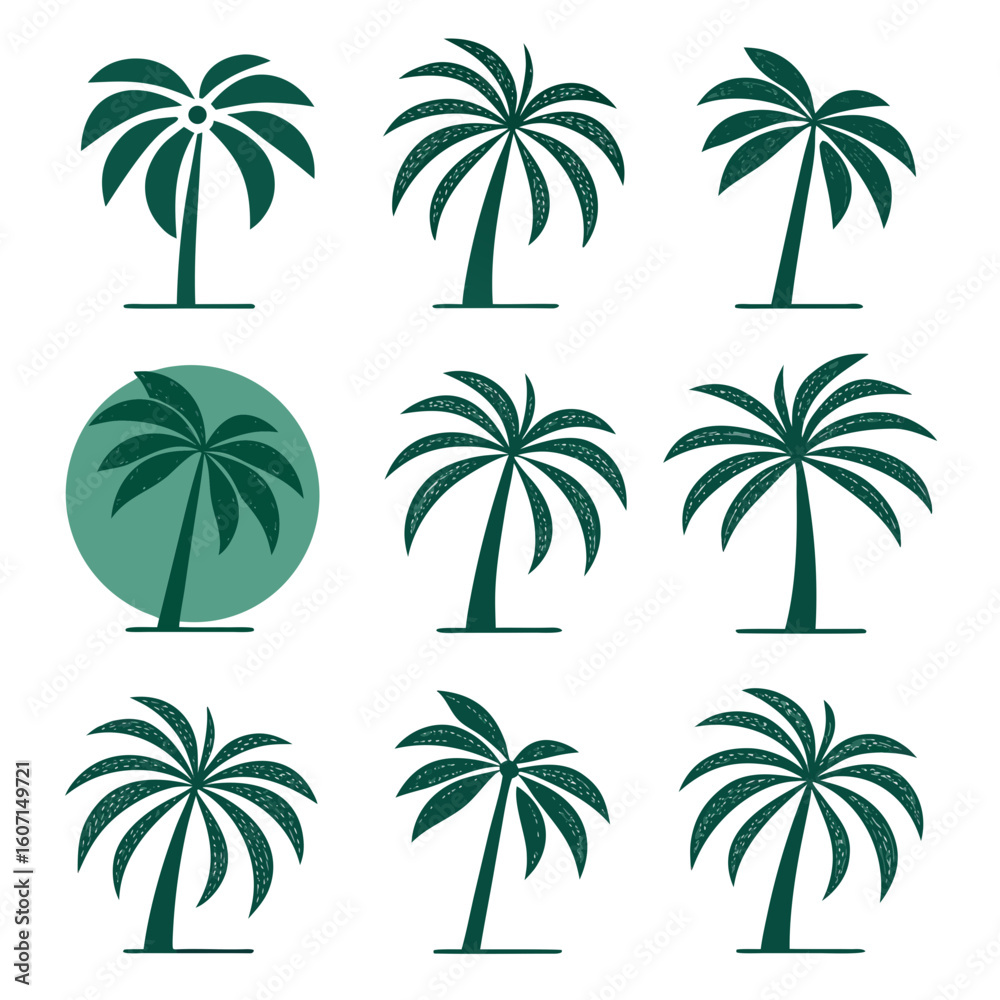 Obraz premium Tropical palm trees collection nature plant
