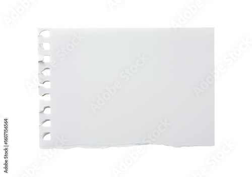 Torn white paper sheet with binder holes isolated on transparent background