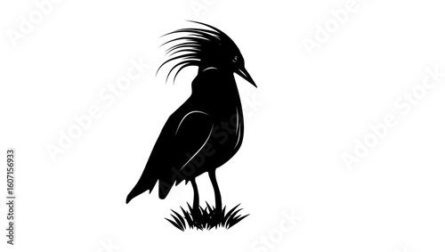 Kagu bird, black isolated silhouette