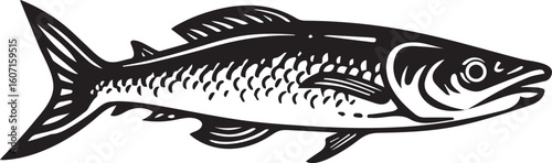Monochromatic Fish Illustration Swimming Smoothly with Detailed Scale Pattern and Fin Structure Depicting a Cartoon Style River Fish
