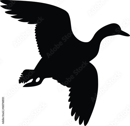 Duck Silhouette Vector 
