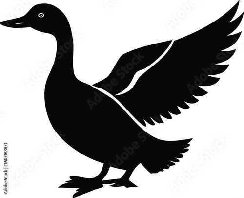Duck Silhouette Vector 