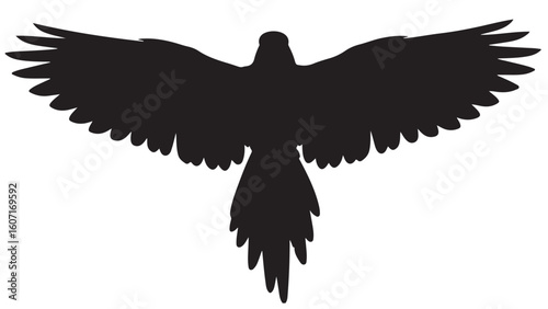 Black bird silhouette, wings spread, vector illustration