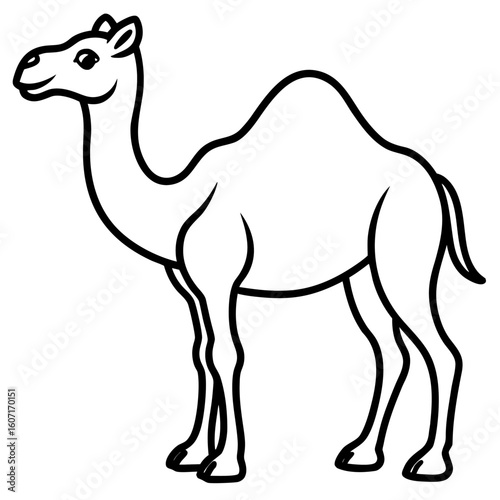 Bactrian camel line art vector