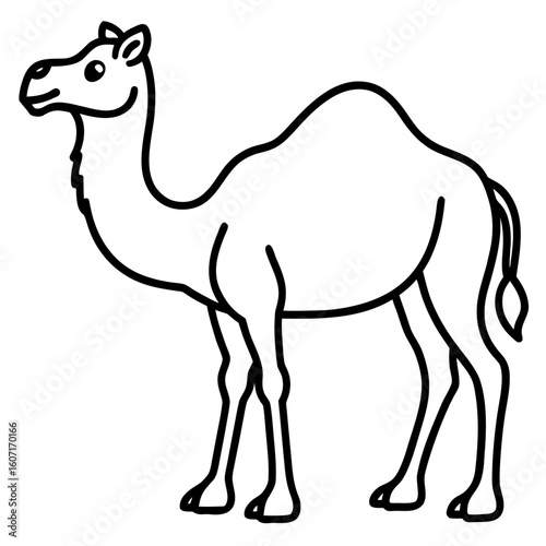 Bactrian camel line art vector