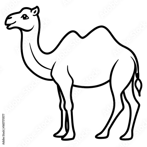 Bactrian camel line art vector