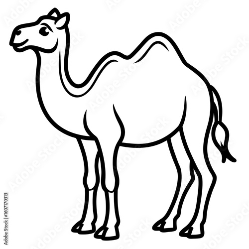 Bactrian camel line art vector