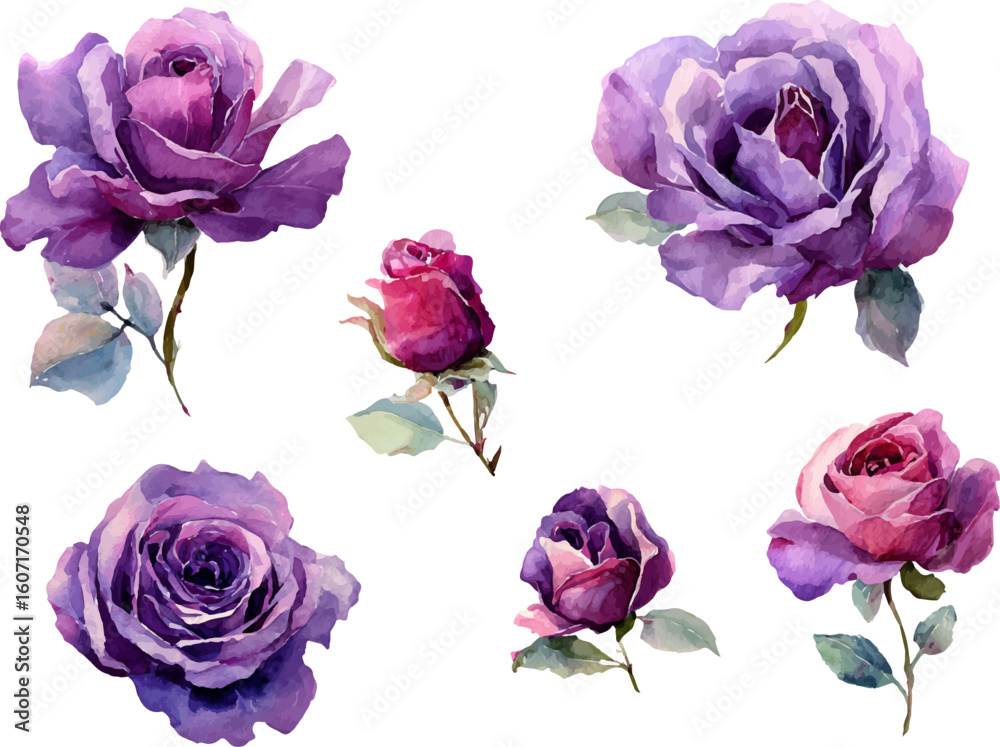 Fototapeta premium bouquet of roses