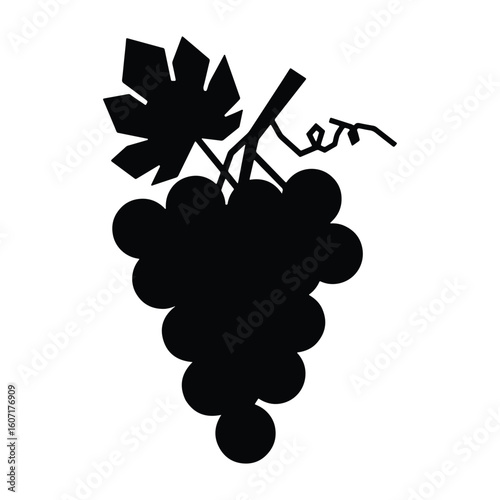 Elegant silhouette of grapes with leaves and vines for wine production and design projects