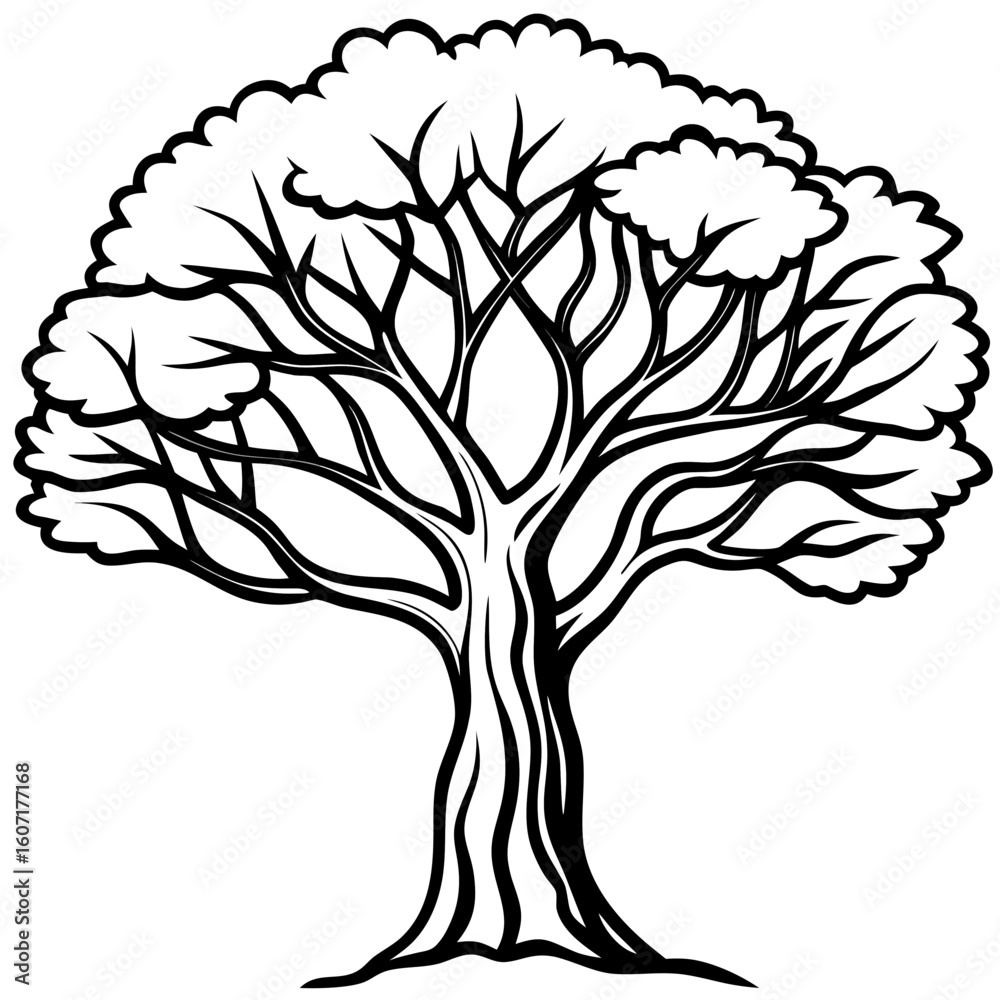 Obraz premium Banyan line art vector