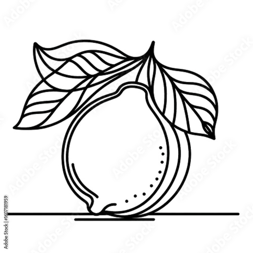 Elegant line art lemon with leaves, perfect for food blogs, culinary designs, and fresh branding.