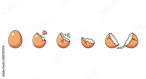 Broken eggshell progression from whole ovum to fragmented pieces showing the development of cracks and splinters