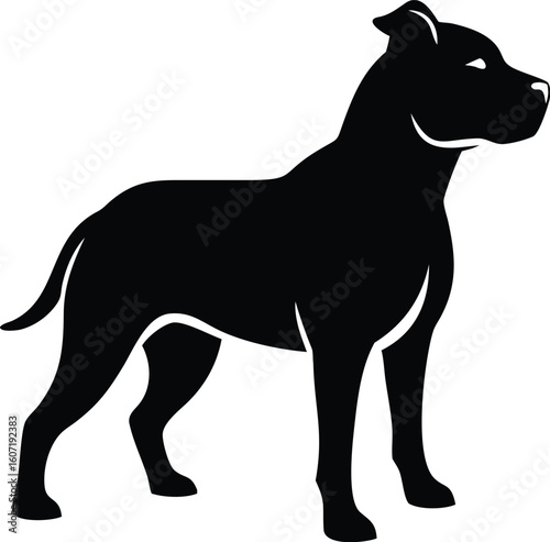 Staffordshire Bull Terrier silhouette with muscular build, broad chest, and confident stance