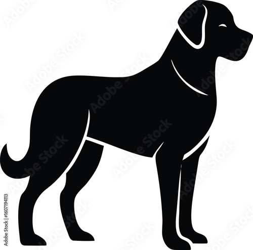 Anatolian Shepherd Dog silhouette with broad head, curled tail, and muscular guardian stance