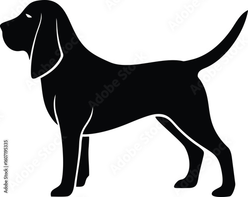 Bloodhound dog silhouette with long ears, muscular frame, and curved tail in tracking stance